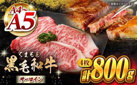 くまもと黒毛和牛 サーロインステーキ 計800g（4枚）【馬刺しの郷 民守】霜降りサーロインステーキ 熊本 和牛 国産 [ZBL022]
