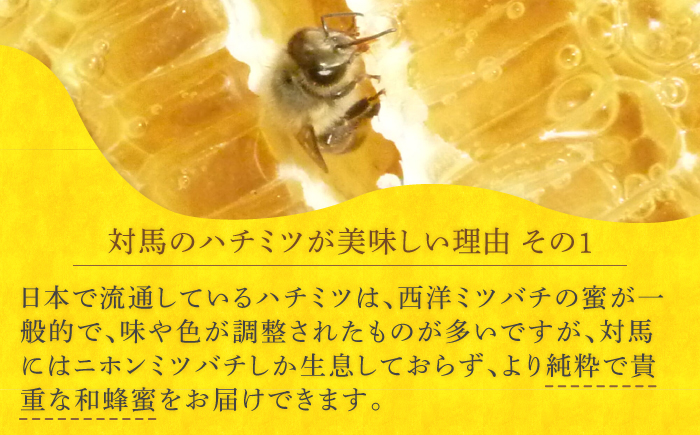 対馬 ニホンミツバチ 巣蜜 はちみつ 稀少 つしま 《対馬市》【特定非営利活動法人 對馬次世代協議会（対馬コノソレ）】九州 長崎 スイーツ トッピング 朝食 おやつ [WAM022]