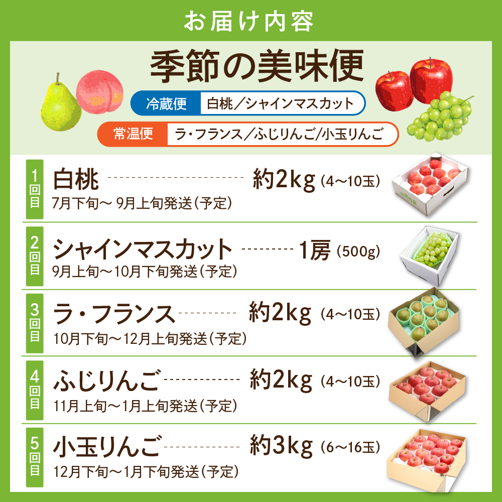 【2025年産 季節の5回定期便】2025年 フルーツ王国 季節の美味便 千笑花夢提供 山形県 東根市 hi082-030-2_イメージ3
