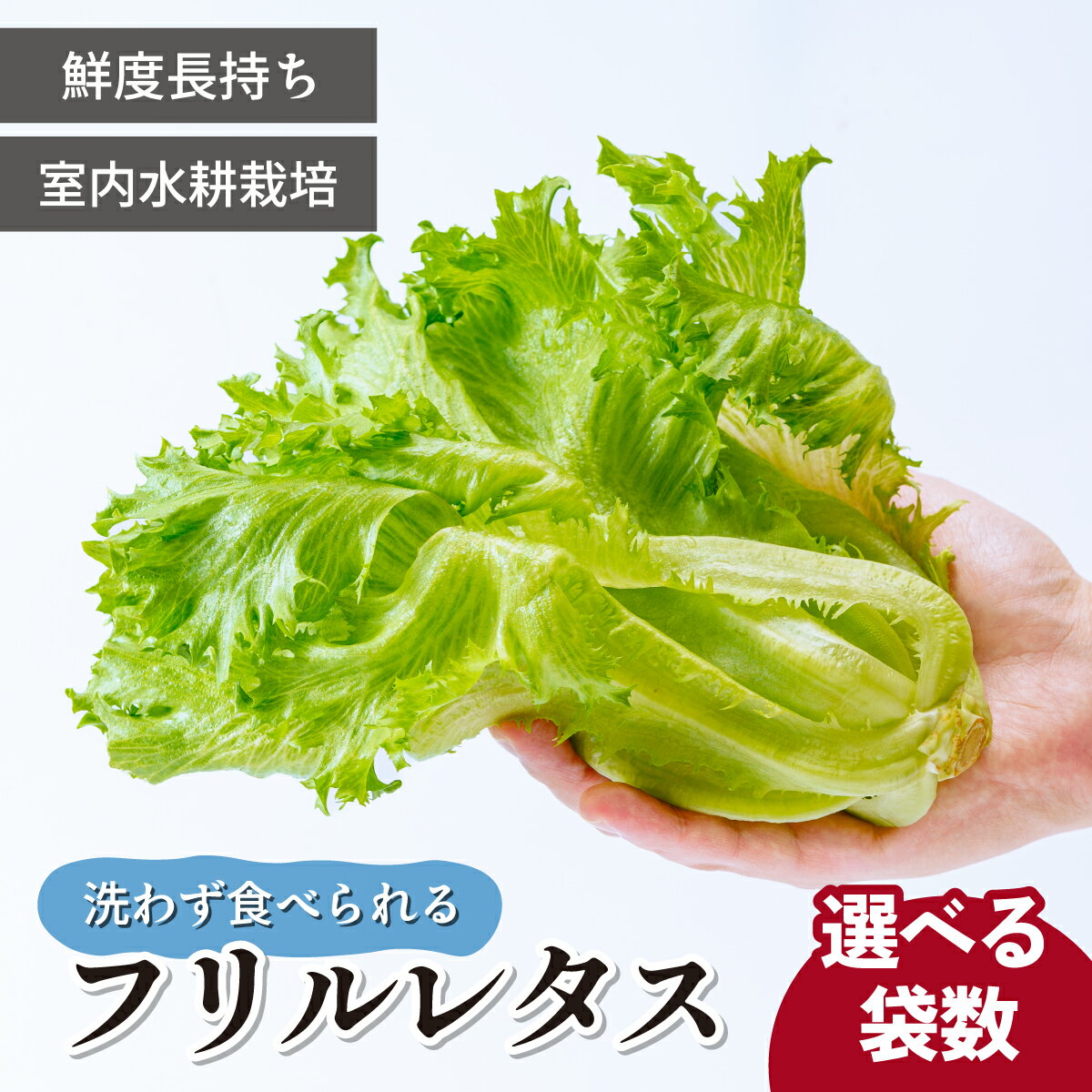 【ふるさと納税】＜洗わず食べられる・室内水耕栽培＞ フリルレタス 4袋or8袋 | レタス 減農薬 新鮮 洗わずに食べられる 新鮮レタス オーガニック野菜 室内栽培 清潔 野菜直送 フレッシュ サラダ用 健康志向 フレッシュ 産地直送 緑黄色野菜 埼玉県 東松山市