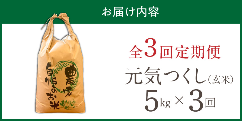 【定期便3回】【令和8年産 新米】福岡県産ブランド米元気つくし 玄米 5kg×3回 _  元気つくし 5kg お届け回数 3回 定期便 福岡県産 ブランド米 新米 福岡生まれ 品種 香り豊か ふっくら 食感 ご飯 おにぎり 弁当 お米 食品 お取り寄せ 九州 久留米市産 福岡県 久留米市 送料無料 _Tk115-03