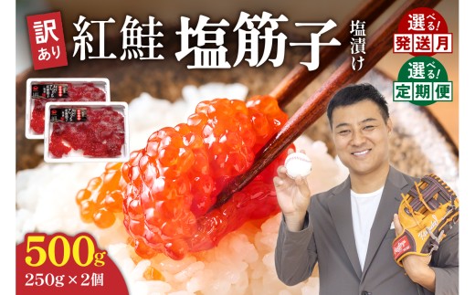 すじこ〈9月配送〉訳あり 紅鮭塩筋子500g (250g×2個入）加藤水産 ひとくちカット すじこ 魚卵 海鮮 おかず おにぎりの具 贈答 ギフト 人気 留萌市 R002-005-09