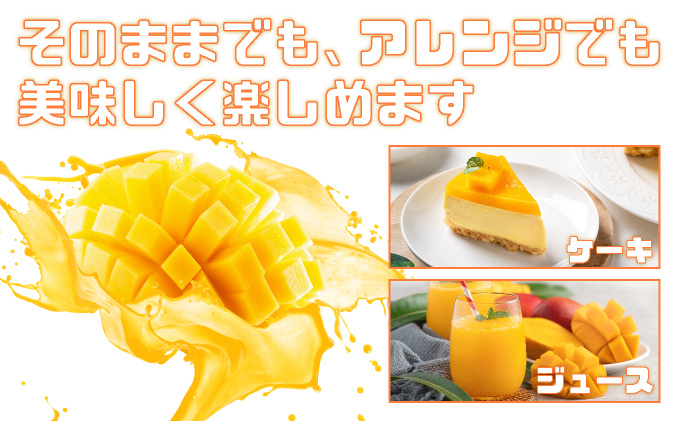 2026年 先行予約 完熟 アップルマンゴー 2L 350g~460g 2玉 マンゴー 果物 デザート 品評会連続入賞2026年 発送 ますみ農園