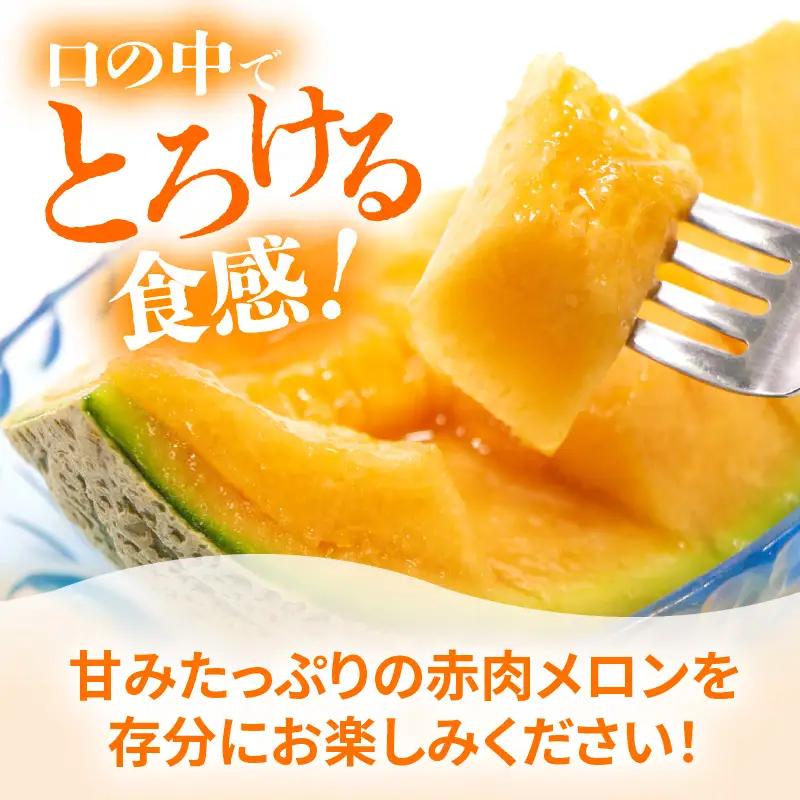 【先行予約】マルセイユメロン 2玉入 4Lサイズ ／ メロン フルーツ 果物 赤肉 花咲紅姫 贈答用 プレゼント 贈り物 国産 期間限定 産地直送 人気 ※2027年6月中旬より順次発送 [aw003