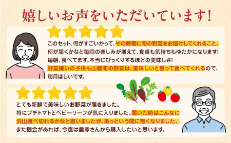 【全3回定期便】四季を味わう野菜セット【株式会社 肥後やまと】[YAF020]