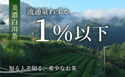 農薬不使用！煎茶 ギフト NO.29 （みどり100g×3 計300g） 敬老の日 常磐園 みどり 日本茶 緑茶 煎茶 茶葉 白川茶 美濃白川茶 農薬不使用栽培茶 お茶 一番茶 春摘み 大容量 岐阜県