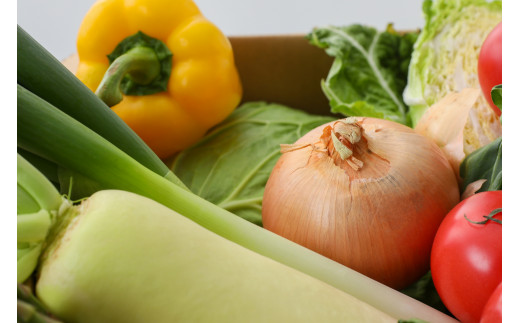 
【とれたて直送】季節の野菜詰め合わせセット
