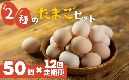 【定期便】希少2種 たまごセット 50個 12回定期便 割れ保証付き