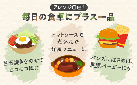 鹿児島県産 黒豚 生ハンバーグ 詰合せ K356-005 ハンバーグ 黒豚ハンバーグ チーズハンバーグ 豚 豚肉 肉 お肉 ぶた ブタ チーズ 惣菜 総菜 焼くだけ 便利 簡単 時短 簡単調理 お弁当