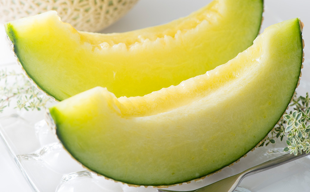 
            熊本県産 アールスメロン 1玉 1.6kg以上 【2026年5月上旬発送開始】 グリーンメロン メロン フルーツ 果物 くだもの 国産
          