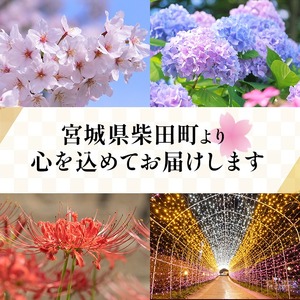 【令和7年産】ササニシキ 精米 合計6kg(2kg×3袋) 柴田町産 お米 おこめ 米 コメ 白米 ご飯 ごはん おにぎり お弁当 【しばたの未来株式会社】sh013