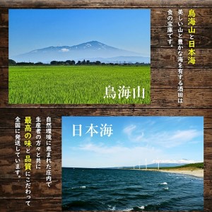 SC0687　酒田の果物専門店厳選　刈屋産 幸水梨　約5kg(10～16玉入)
