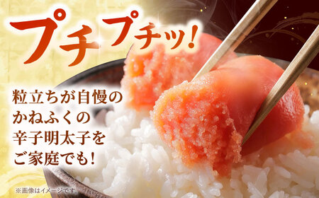 かねふく からし明太子 400g 桂川町/有限会社山水商事[ADAH033]