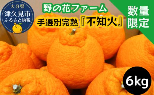 【 数量限定・不知火みかん】不知火 6kg 野の花ファームのミカン | ミカン 津久見みかん 箱みかん しらぬいミカン 不知火ミカン 絶品みかん 蜜柑 オレンジ 果実 旬のフルーツ 大分県産 九州産 津久見市