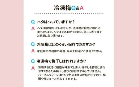 冷凍パープルクィーン 1.6kg（400g×4） / 紀州南高梅 南高梅 青梅 梅 ウメ うめしごと 紀州 梅酒 梅ジュース 梅シロップ 和歌山県 田辺市 【kng031】