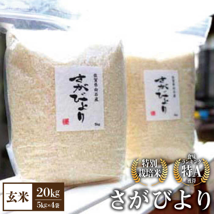 【ふるさと納税】【先行予約 2026年10月～発送】【九州米・食味コンクール3年連続入賞！】 令和8年産 こだわりの さがびより 20kg（玄米）【白浜農産】米 お米 新米 ブランド米 農家直送 特別栽培 特別栽培米 特A 令和8年 おすすめ 人気 佐賀県 白石町 白石 [IBL004]