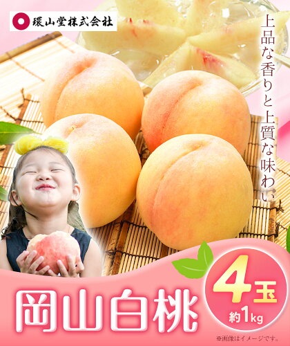 【2026年先行予約】桃 もも 岡山白桃 4玉 約1kg 岡山県産 環山堂株式会社《2026年7月上旬-8月上旬頃出荷》岡山県 浅口市 白桃 果物 フルーツ 送料無料st-p
