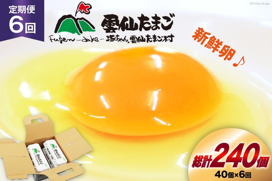 
            BI032 6回 定期便 雲仙たまご 40個 (10個入り×4パック) (37個＋割れ補償3個入り) [ 卵 たまご 生卵 鶏卵 赤卵 玉子 新鮮 塚ちゃん雲仙たまご村 長崎県 島原市 ]
          