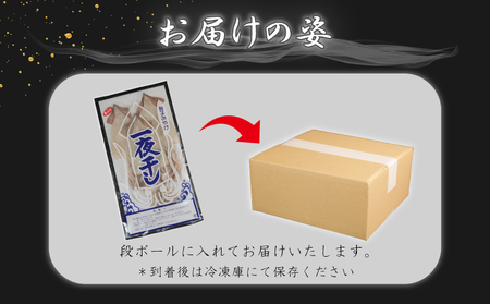 イカの一夜干し 2~4枚 (約350g) 一夜干し 一夜干し 一夜干し 一夜干し 一夜干し ヤマワカ水産