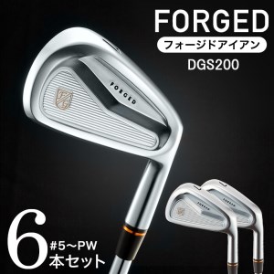 FK01 CAVITY #5～Pw(DG) 680BE01N. ／軟鉄鍛造 フォージド アイアン 国産 ゴルフクラブ