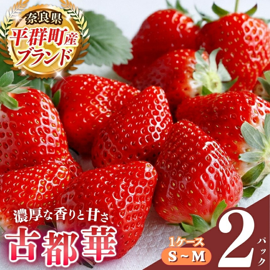 【ふるさと納税】 いちご 平群の古都華 S～Mサイズ （2パック×1ケース）計2パック 阪野農園 | 先行予約 フルーツ 果物 くだもの ブランド いちご 苺 古都華 ことか 甘い 希少 希少品種 3月 4月 発送 旬 送料無料 濃厚 香り 果汁 味わい深い 農家直送 名産地 奈良県 平群 町