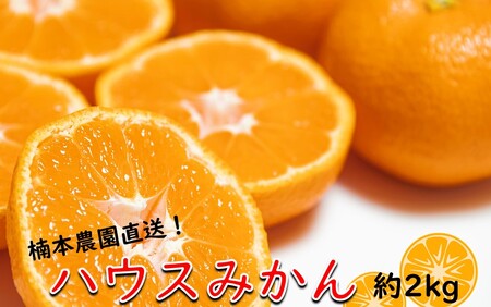 1984R_【7月中旬から発送予定】楠本農園直送！こだわりハウスみかん 約2kg