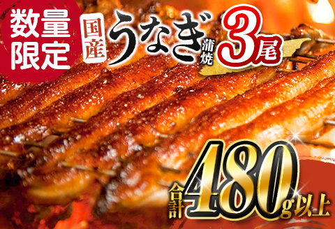 数量限定 うなぎ 鰻楽 国産 蒲焼 3尾 人気 無頭 計480g以上 高評価 おすすめ 冷凍 簡単調理 個包装 鰻 魚介 贈答品 ギフト 贈り物 期間限定【C444】