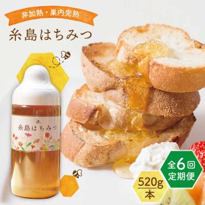 ふるさと納税 糸島市 【全6回定期便】糸島 はちみつ 520g/ヴァンベールフーズ[AFJ006]