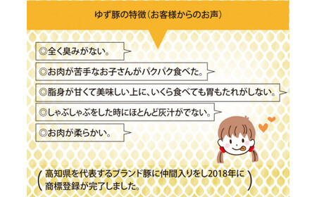 【高知のブランド豚/ゆず豚】しゃぶしゃぶセット1kg（約4人前）- 豚肉 しゃぶしゃぶ 豚しゃぶ 豚バラ 豚バラ ロース 豚バラスライス 国産 肉 ギフト・熨斗対応可 贈答