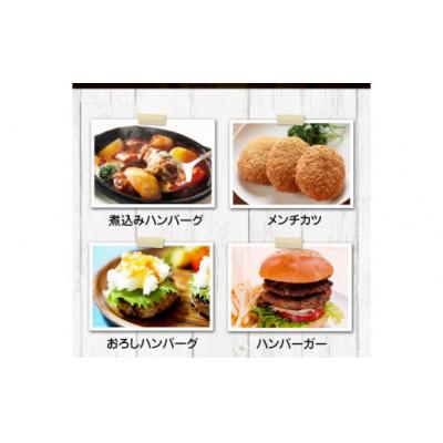 ふるさと納税 氷川町 手作りハン馬ーグ 100g×10個 馬肉100%配合!【熊本肥育】 |  | 02