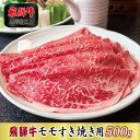 【ふるさと納税】【A4等級以上】飛騨牛モモすき焼き用500g【配送不可地域：離島】【1108622】