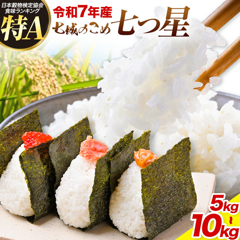 【ふるさと納税】令和7年産 七城のこめ 特選米 七つ星 精米 ヒノヒカリ ひのひかり 選べる 5kg 10kg 有限会社七城町特産品センター 《30日以内に出荷予定(土日祝を除く)》 熊本県 菊池市 お米 米 白米 九州産 熊本県産