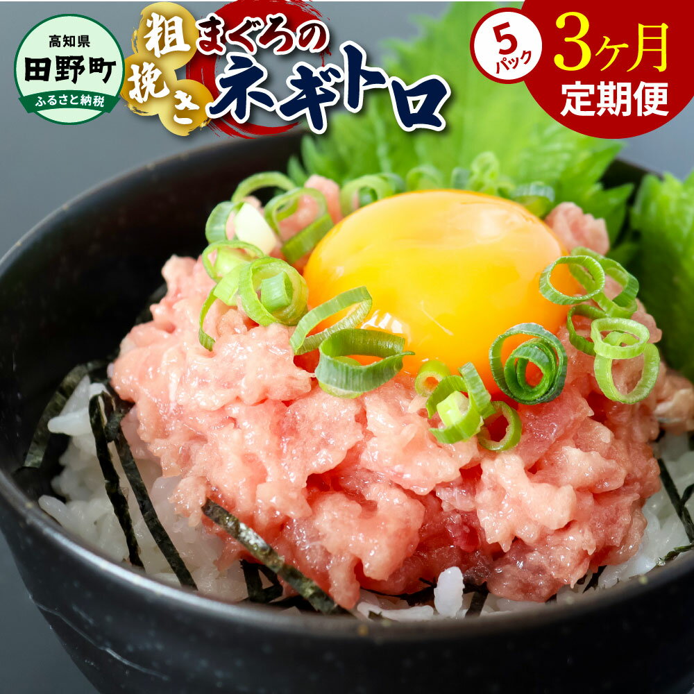 【ふるさと納税】～四国一小さなまち～ ≪カネアリ水産≫ まぐろのネギトロ 400g（80g×5パック）×3ヶ月定期便 ねぎとろ 鮪 マグロ キハダマグロ まぐろたたき 粗挽き 小分け パック 海鮮 魚介 便利 簡単 冷凍 配送 高知県 田野町 ふるさとのうぜい 故郷納税 返礼品