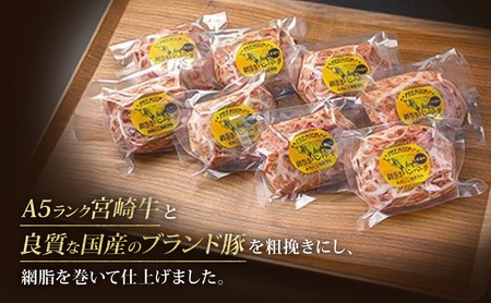 ハンバーグ A5ランク 宮崎牛 180g 4個 セット 国産 冷凍ハンバーグ 工場直売 惣菜