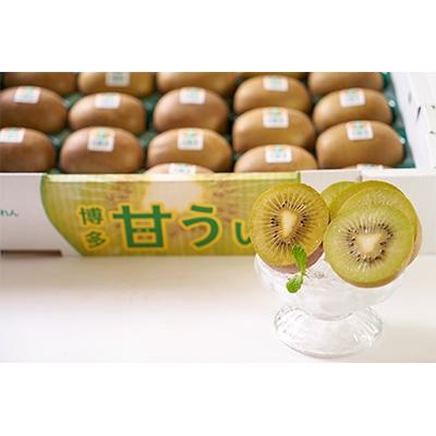 ふるさと納税 春日市 【春日】福岡限定!ブランドキウイ「甘うぃ(あまうぃ)」約3kg箱(24-30玉) |  | 01