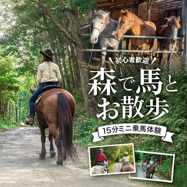 【ふるさと納税】初心者歓迎 森の中を馬に乗ってお散歩プラン(15分) ミニ外乗 体験 広島 安芸高田市 エオの谷