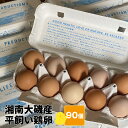 【ふるさと納税】湘南大磯産平飼い鶏卵 90個＜2024年12月1日出荷開始～2025年6月30日出荷終了＞【 たまご 神奈川県 大磯町 】