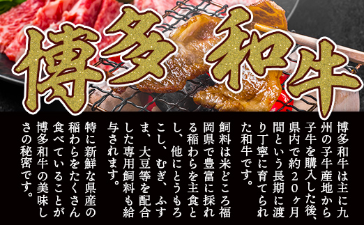 訳あり！【A4〜A5】博多和牛焼肉切り落とし(肩ロース・バラ）　1ｋｇ（500ｇ×2ｐ）	DX040