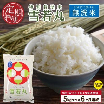 ふるさと納税 酒田市 【発送月固定定期便】特別栽培米　雪若丸5kg　無洗米　全6回