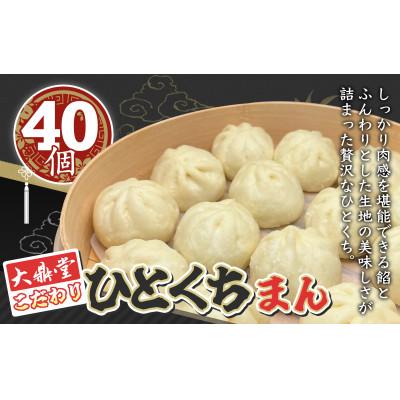 ふるさと納税 福津市 大鼎堂こだわり ひとくちまん　40個セット(20個×2袋)[F4623s]