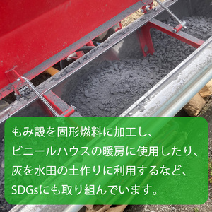 令和5年産！愛媛県産ヒノヒカリ 10kg | 米 ｺﾒ 米 ｺﾒ 米 ｺﾒ 米 ｺﾒ 米 ｺﾒ 米 ｺﾒ 米 ｺﾒ 米 ｺﾒ 米 ｺﾒ 米 ｺﾒ 米 ｺﾒ 米 ｺﾒ 米 ｺﾒ 米 ｺﾒ 米 ｺﾒ 米 