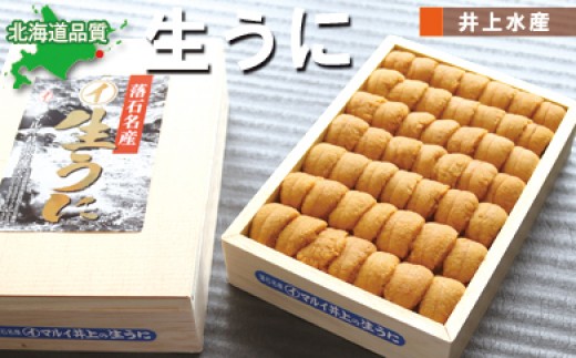 
                  C-71002 ムラサキウニ250g×1折[7月上旬以降発送]
                