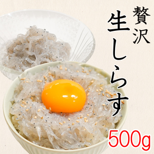 生しらす 500g ( 100g × 5袋 ) 冷凍 刺身 真空パック ごはん 丼 サラダ 魚 料理 愛知県 南知多町 師崎 山庄水産