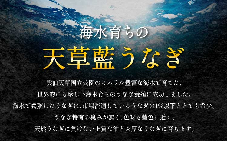 うなぎ  【ミシュラン1つ星店 採用】数量限定!! 海水育ちの天草藍うなぎ 超特大 紅白 5〜7尾 セット【合計約1kg】蒲焼き 白焼き 鰻重 鰻丼 鰻 蒲焼き ギフト