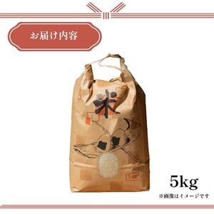 【 令和6年度産 】 お米 5kg にこまる 