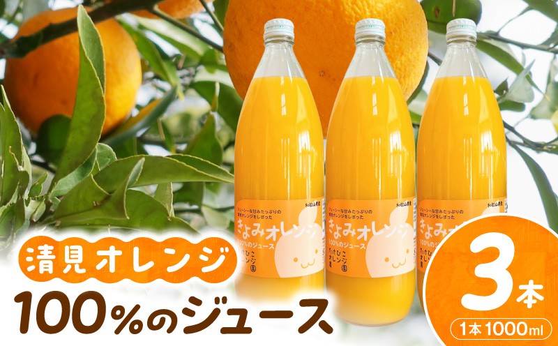 
                  【数量限定】清見オレンジ１００％のジュース(ストレート)　1,000ml×３本セット_AB8349
                