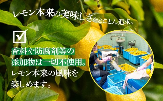 貯蔵蔵出し国産レモン約3kg(冷蔵便発送)※サイズはS玉～2L玉のいずれか、混載【配送不可地域：離島】