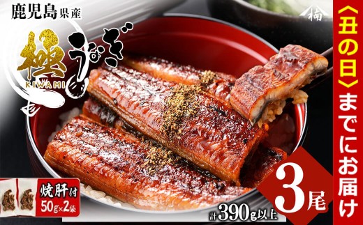 【丑の日までに配送】楠田の極うなぎ蒲焼き 130g以上×3尾(計390g以上) 焼肝2袋付き b0-040-us