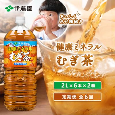 ふるさと納税 恵庭市 『定期便:全6回』健康ミネラル麦茶2L×6本×2箱【50000601】