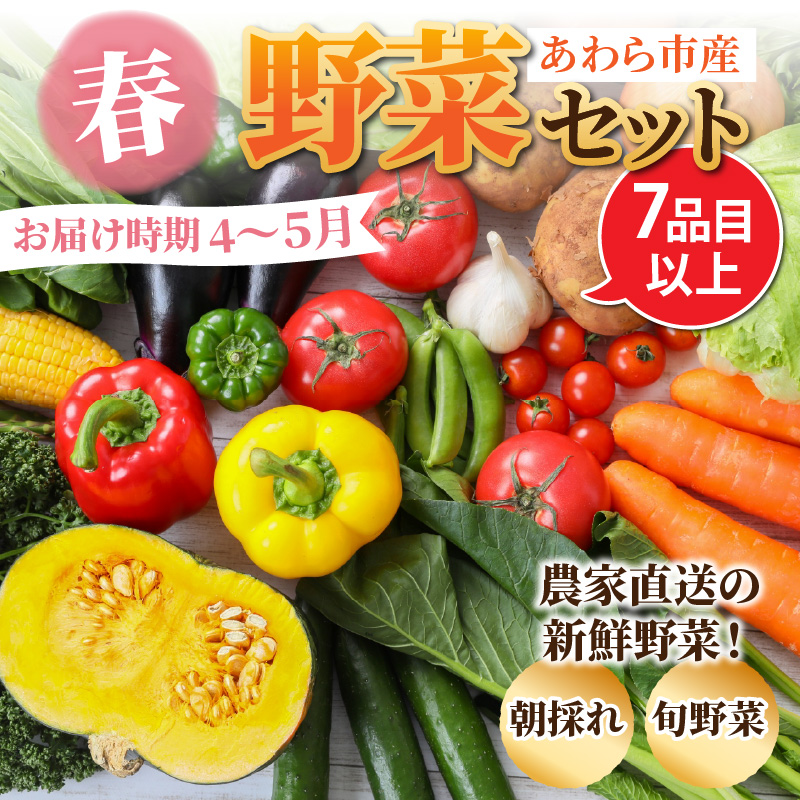 【先行予約】農家直送 春野菜セット 1箱 7品目以上 《元気に育った新鮮野菜！》 ※2025年4月下旬以降順次発送予定